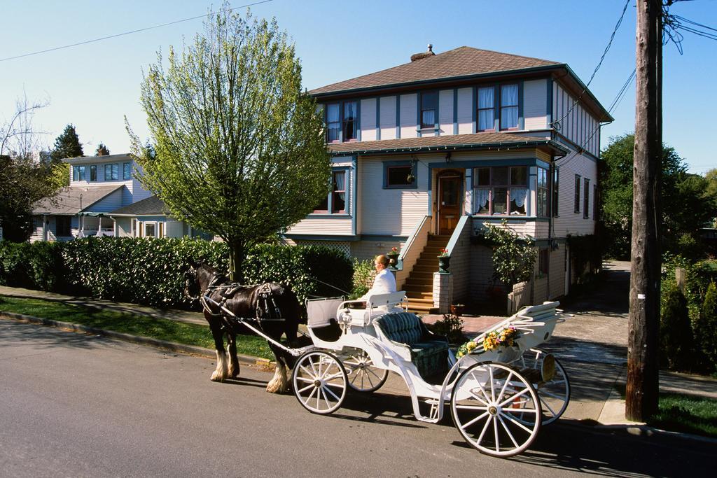 Marketa'S Bed And Breakfast Виктория Экстерьер фото