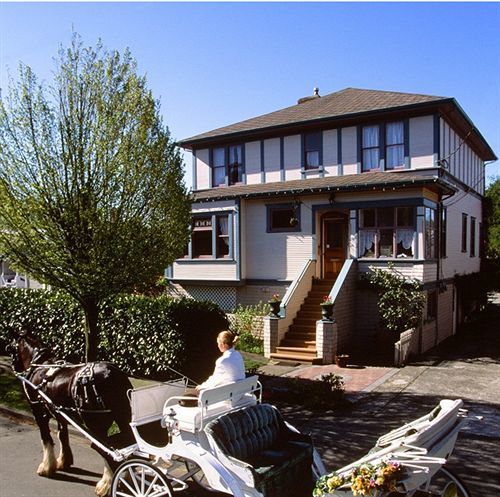 Marketa'S Bed And Breakfast Виктория Экстерьер фото